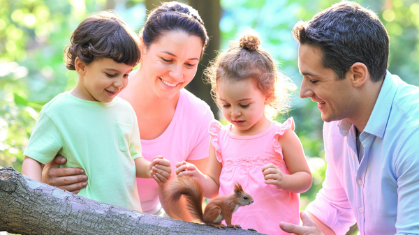 Aventura „Forest School” în curtea ta: ghid complet pentru părinții care vor să aducă natura în educația copiilor