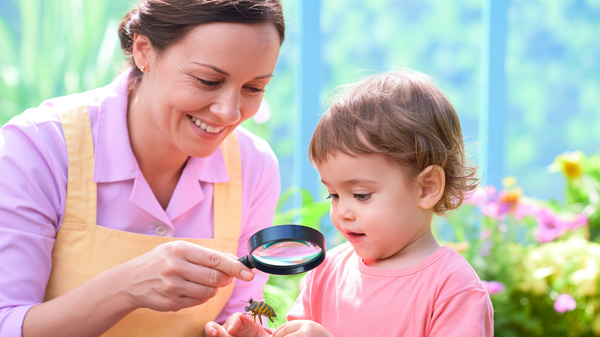 Transformă curtea într-un laborator: cum să creezi un observator de insecte și un jurnal de natură